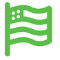 flag image