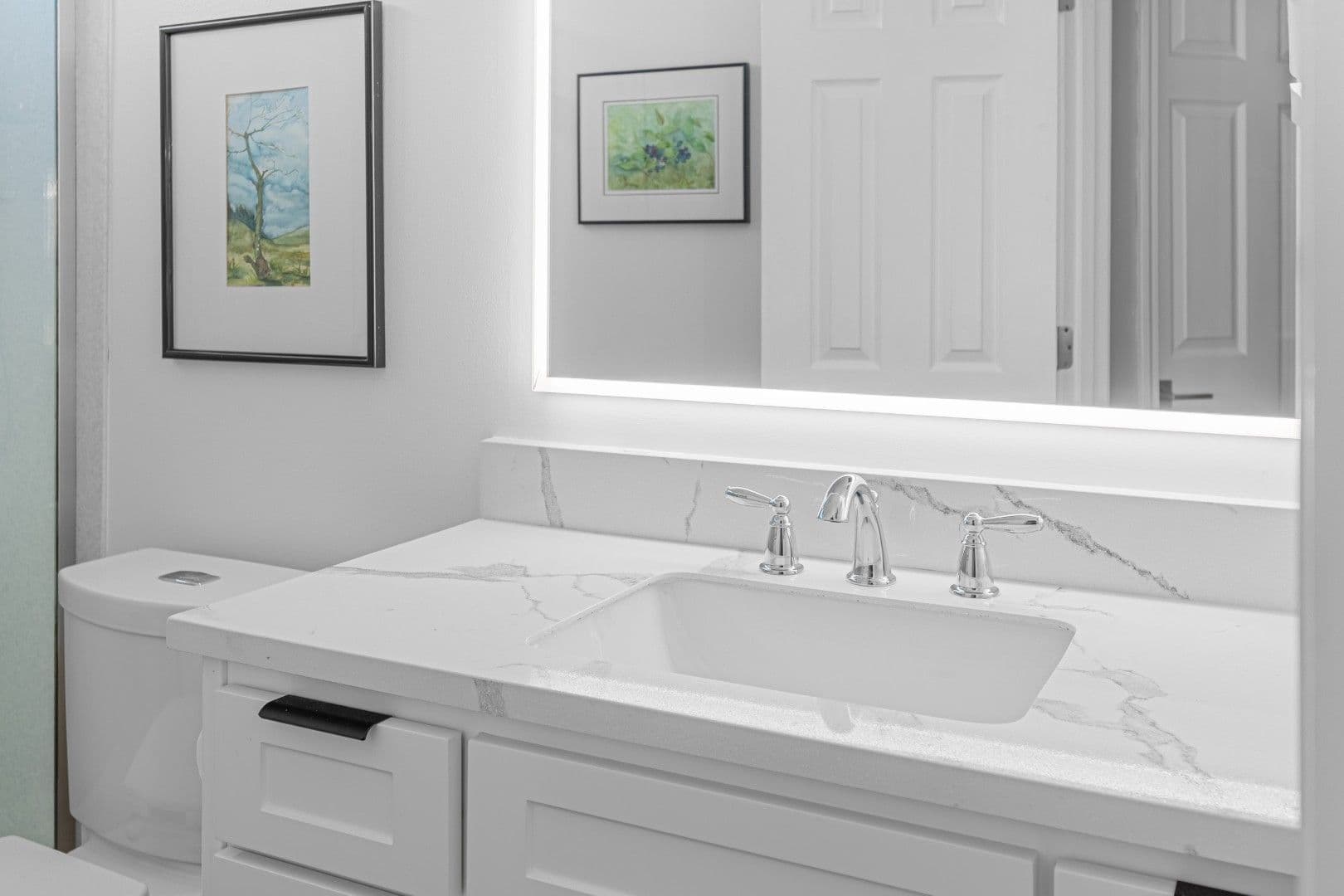 Guest Bathroom Counters