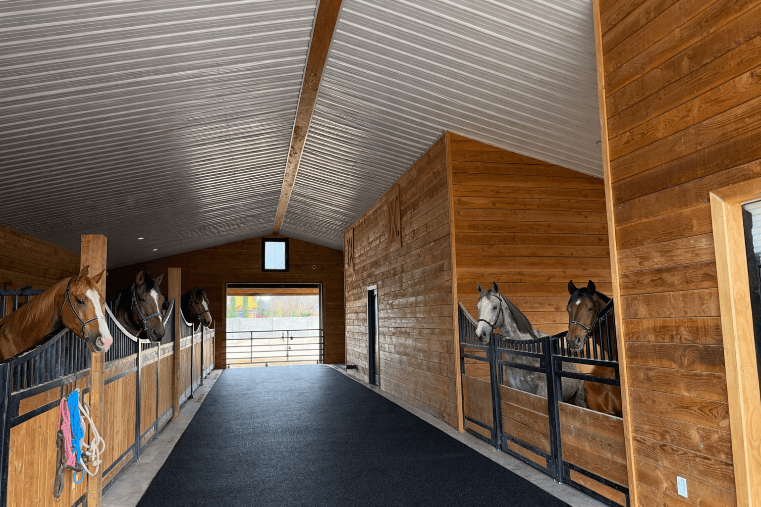 Stressless Remodeling Horse Barn upgrade with RubberStone Coating